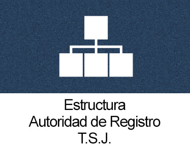 estructura